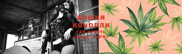 ешки Вязьма