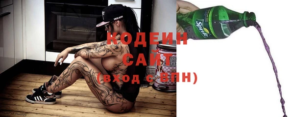 шишки Вяземский