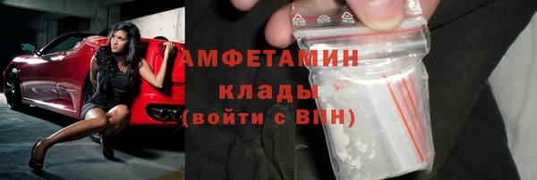 шишки Вяземский