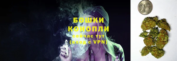 шишки Вяземский