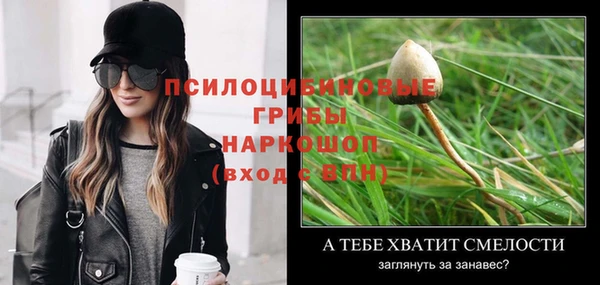 ешки Вязьма